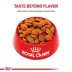 Royal Canin Breed Health Nutrition Golden Retriever Adult Dry Dog Food image thumbnail 2
