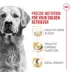 Royal Canin Breed Health Nutrition Golden Retriever Adult Dry Dog Food image thumbnail 3