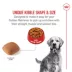 Royal Canin Breed Health Nutrition Golden Retriever Adult Dry Dog Food image thumbnail 4