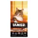 Product IAMS Advanced Immune Health Adult Dry Cat Food - Salmon & Chicken