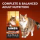 Product IAMS Advanced Immune Health Adult Dry Cat Food - Salmon & Chicken