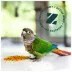 ZuPreem® FruitBlend Medium Bird Food image thumbnail 9