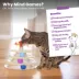 Catstages Tower of Tracks and Spinning Catnip Toy image thumbnail 6