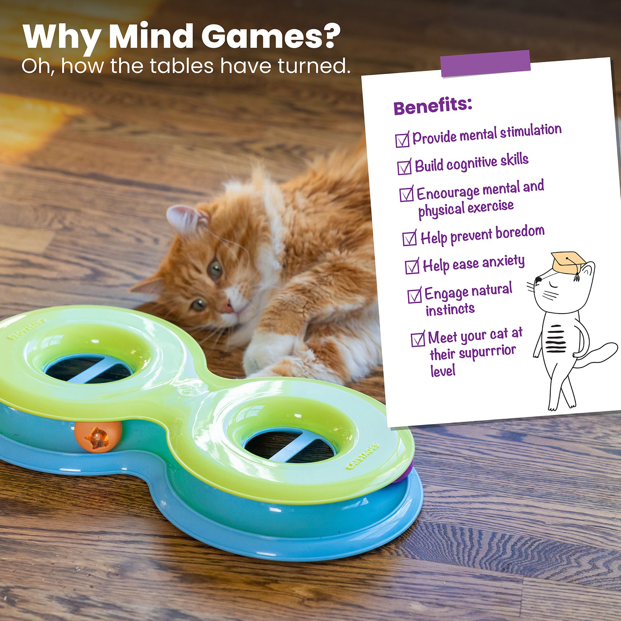 Catstages Infinity Ball Track Cat Toy - thumbnail 6