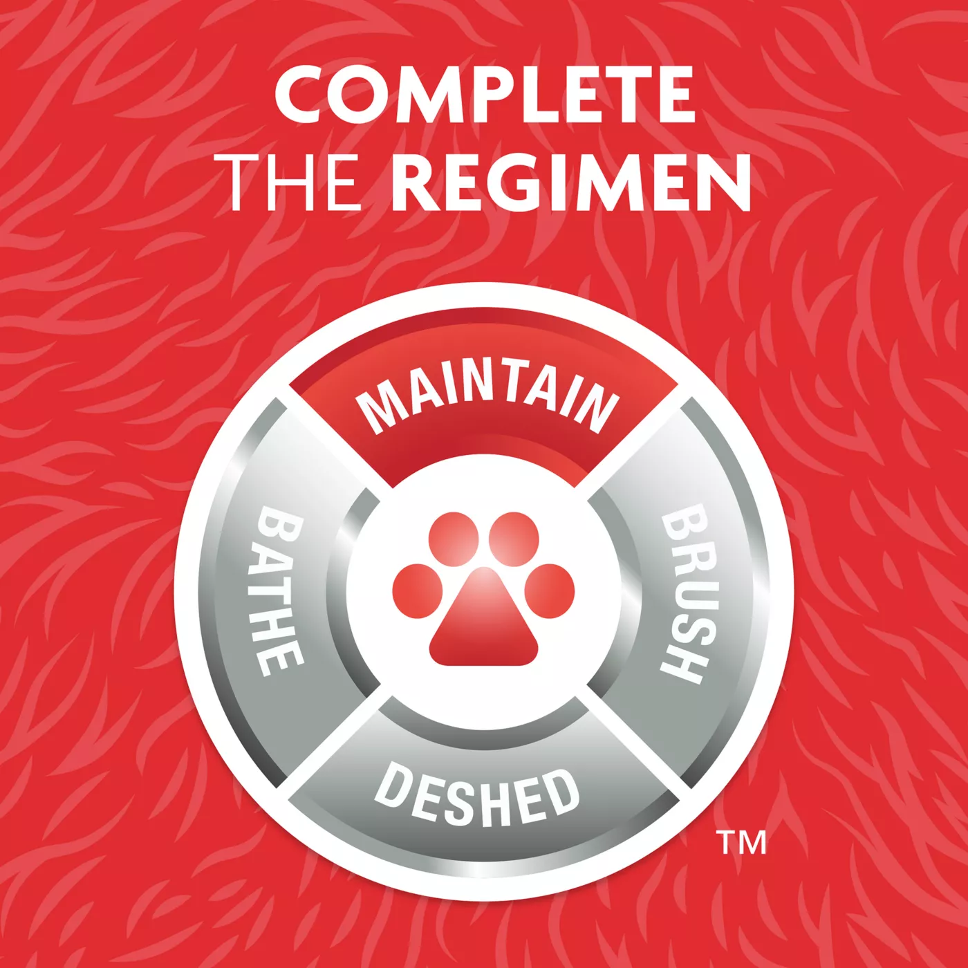 Furminator deshedding rinse free foaming shampoo for cats online
