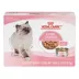 Royal Canin® Feline Health Nutrition Kitten Thin Slices In Gravy Canned Kitten Food - 12ct image thumbnail 1