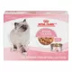 Product Royal Canin® Feline Health Nutrition Kitten Thin Slices In Gravy Canned Kitten Food - 12ct