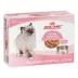 Royal Canin® Feline Health Nutrition Kitten Thin Slices In Gravy Canned Kitten Food - 12ct image thumbnail 4