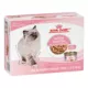 Product Royal Canin® Feline Health Nutrition Kitten Thin Slices In Gravy Canned Kitten Food - 12ct