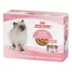 Product Royal Canin® Feline Health Nutrition Kitten Thin Slices In Gravy Canned Kitten Food - 12ct