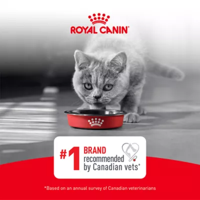 Royal Canin Feline Adult Wet Cat Food Nutrition Digestive Care - Thin Slices in Gravy - Image 6
