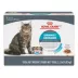 Royal Canin Feline Adult Wet Cat Food Urinary Care Nutrition - Thin Slices in Gravy, 3 oz x 12 Pk image thumbnail 1