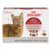 Royal Canin Feline Instinctive Adult Wet Cat Food, Health Nutrition - Thin Slices in Gravy,3 oz x12 image thumbnail 1