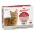 Royal Canin Feline Instinctive Adult Wet Cat Food, Health Nutrition - Thin Slices in Gravy,3 oz x12 image thumbnail 4