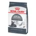Royal Canin Feline Adult Dry Cat Food Care Nutrition, Dental Care image thumbnail 5