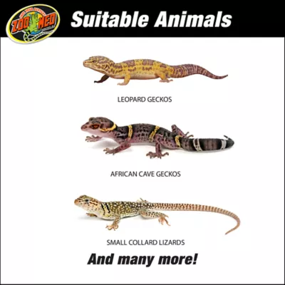 Product Zoo Med 20 Gallon Leopard Gecko ReptiHabitat