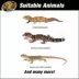 Zoo Med 20 Gallon Leopard Gecko ReptiHabitat Terrarium Kit image thumbnail 4