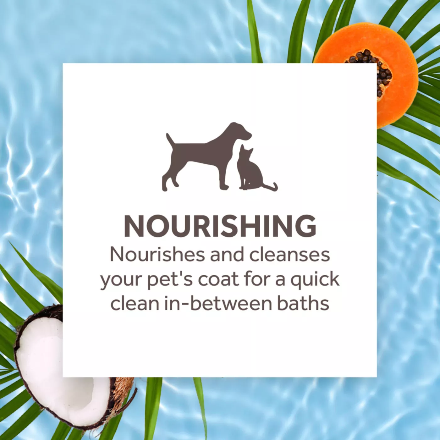 Happy fashion place waterless shampoo for dogs