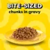 Temptations Bites In Gravy Adult Wet Cat Food - 3.5oz image thumbnail 3