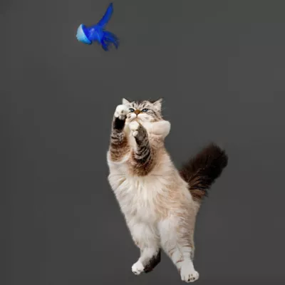 Product Playology® Popper Cat Toy