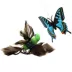 Playology® Motorized Hummingbird/Butterfly Teaser Cat Toy image thumbnail 2
