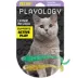 Playology® Minnow Cat Toys, 2 Pack image thumbnail 1
