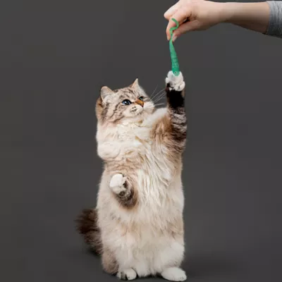 Product Playology® Minnow Cat Toys, 2 Pack