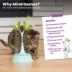 Catstages 2-in-1 Flutter Toy image thumbnail 6