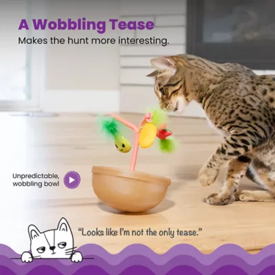 Product Catstages Hunt N' Wobble Fruit Bowl