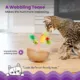 Product Catstages Hunt N' Wobble Fruit Bowl