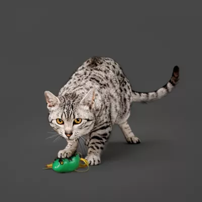 Product Playology® Dangly Leg Frog Cat Toy