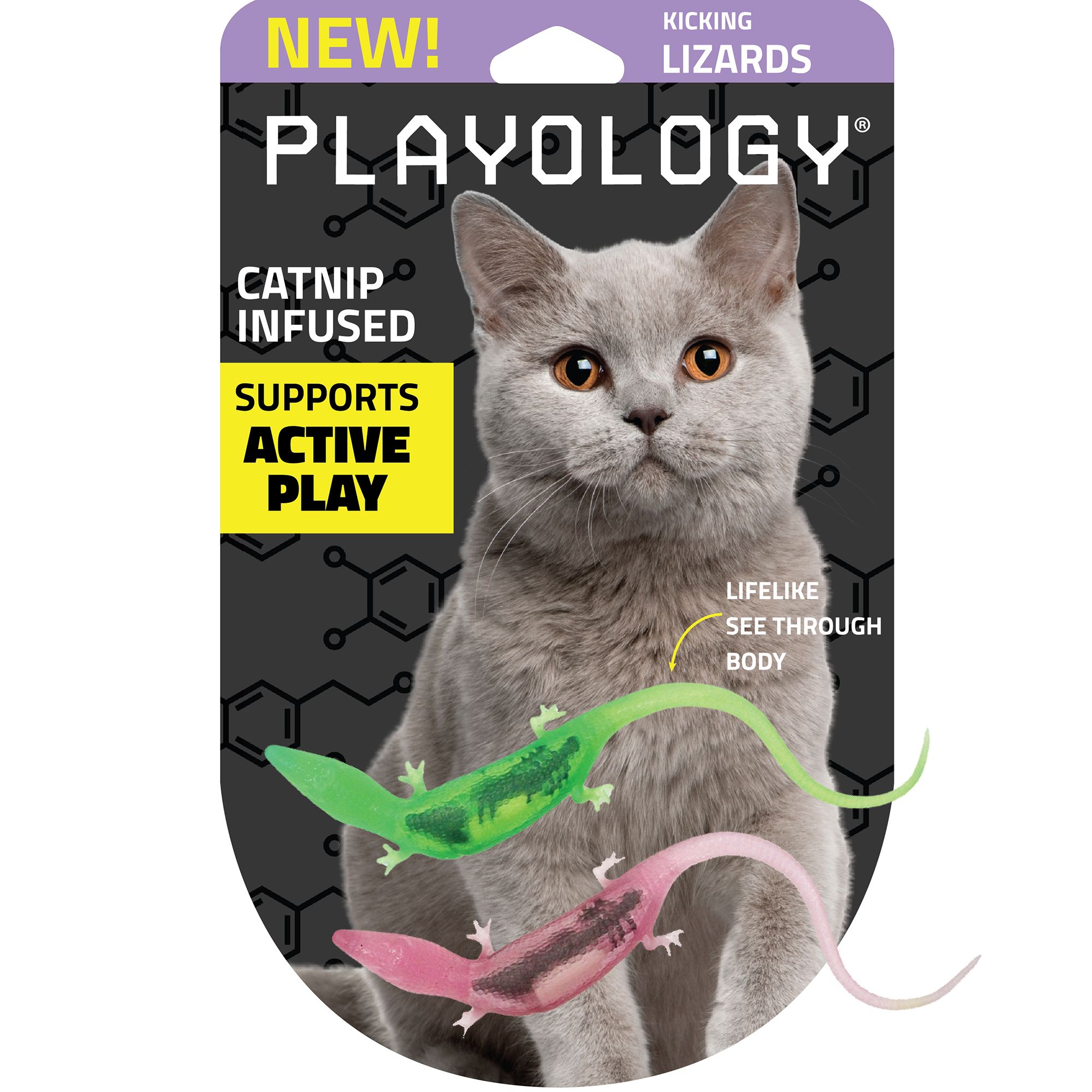 Playology Lizards with Bugs Cat Toys 2 Pack PetSmart in Tustin CA The Market Place