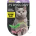 Playology® Lizards with Bugs Cat Toys, 2 Pack image thumbnail 1