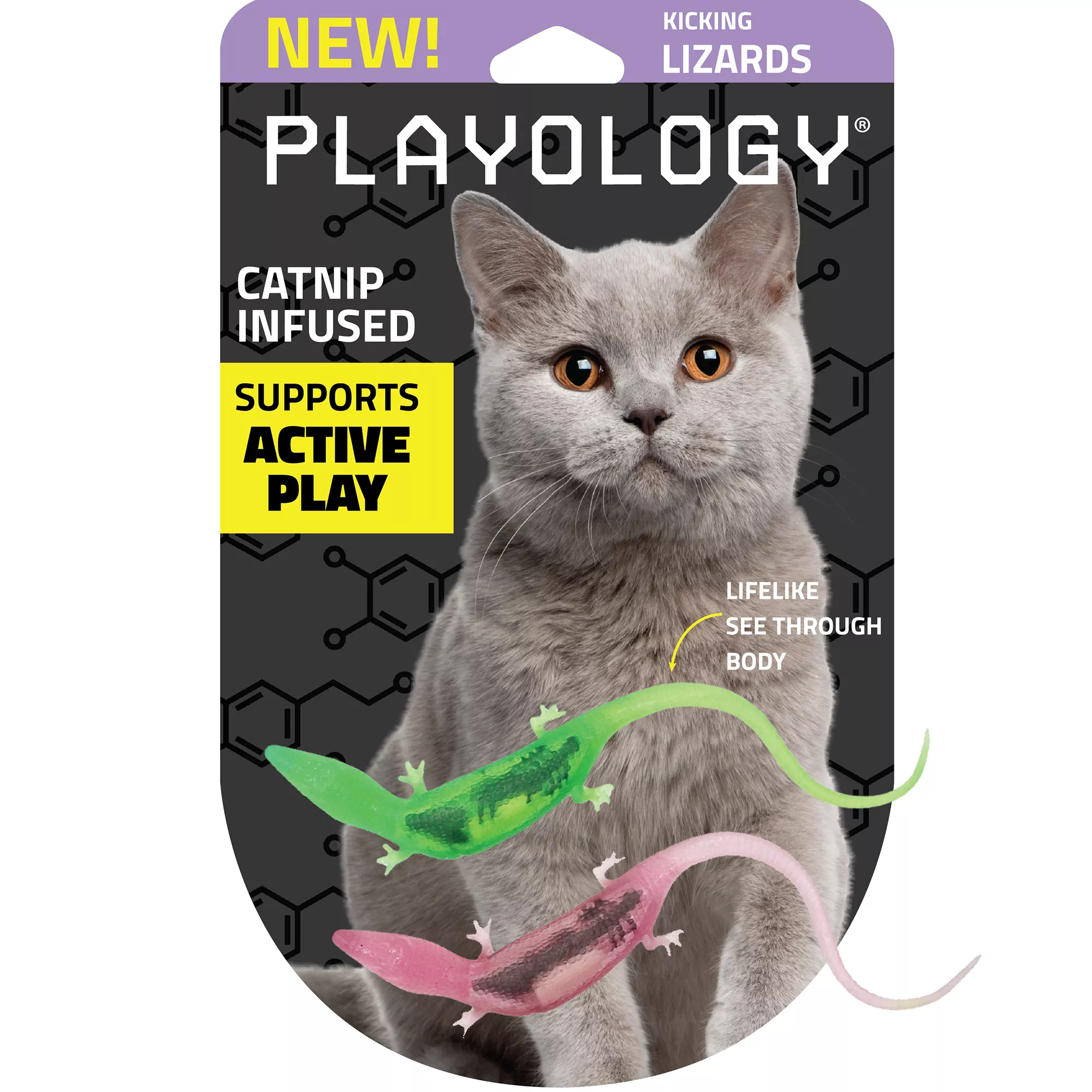 Playology Lizards with Bugs Cat Toys, 2 Pack