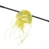 Playology Jellyfish Teaser Cat Toy image thumbnail 2