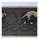 Product Bungalow Flooring Waterhog Kitty Face Pet Mat