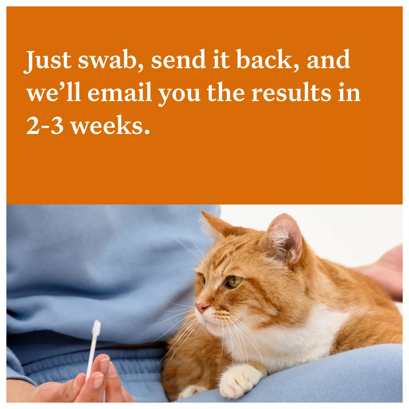 Wisdom Panel Complete DNA Test Kit for Cats