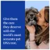 Wisdom Panel Essential Breed Identification DNA Test for Dogs image thumbnail 2