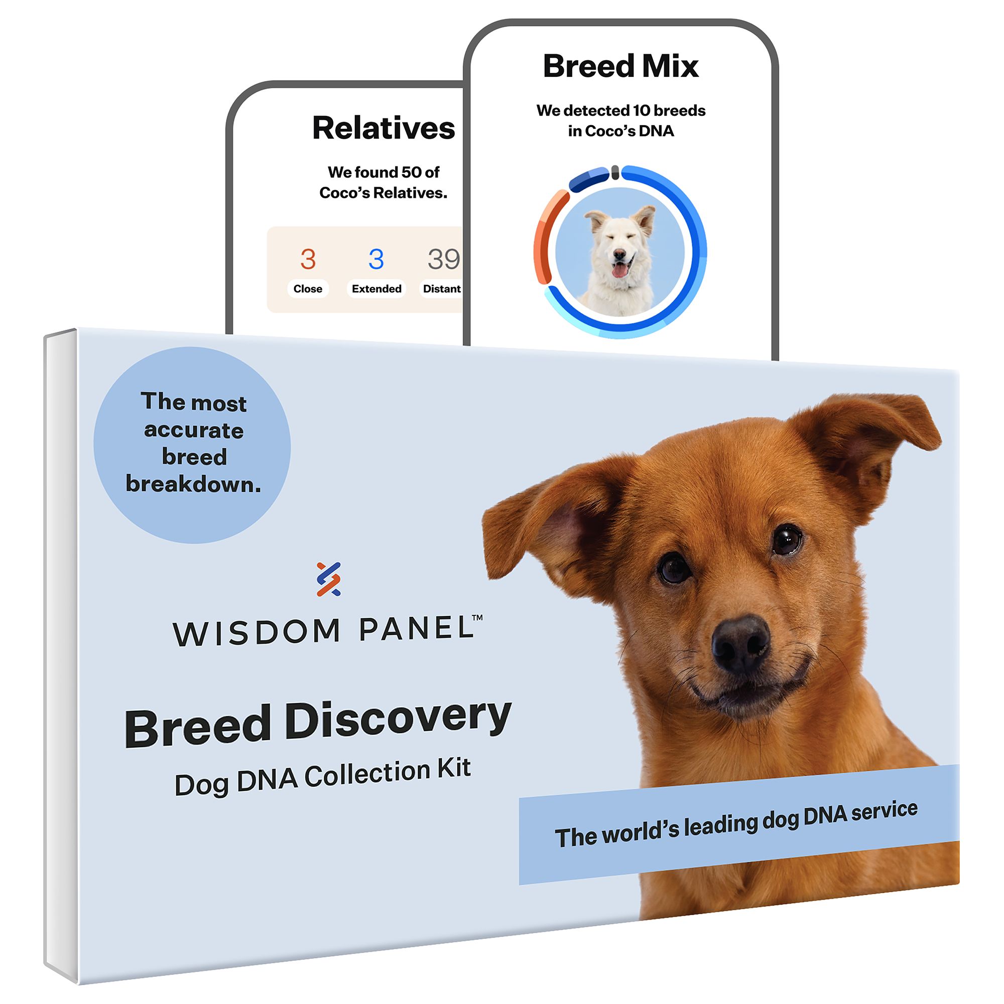 Dog dna 2025 kit petsmart