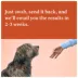 Wisdom Panel Premium Breed Identification & Health Condition Identification DNA Test for Dogs image thumbnail 6