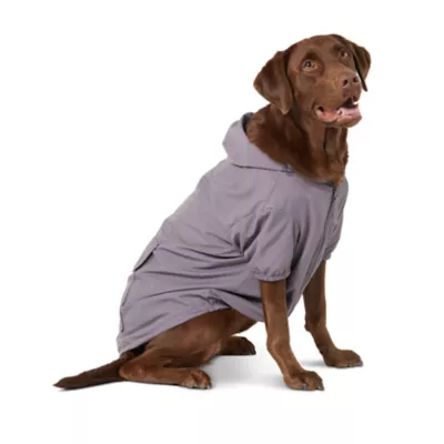 Product Top Paw® Dog Windbreaker