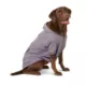 Product Top Paw® Dog Windbreaker