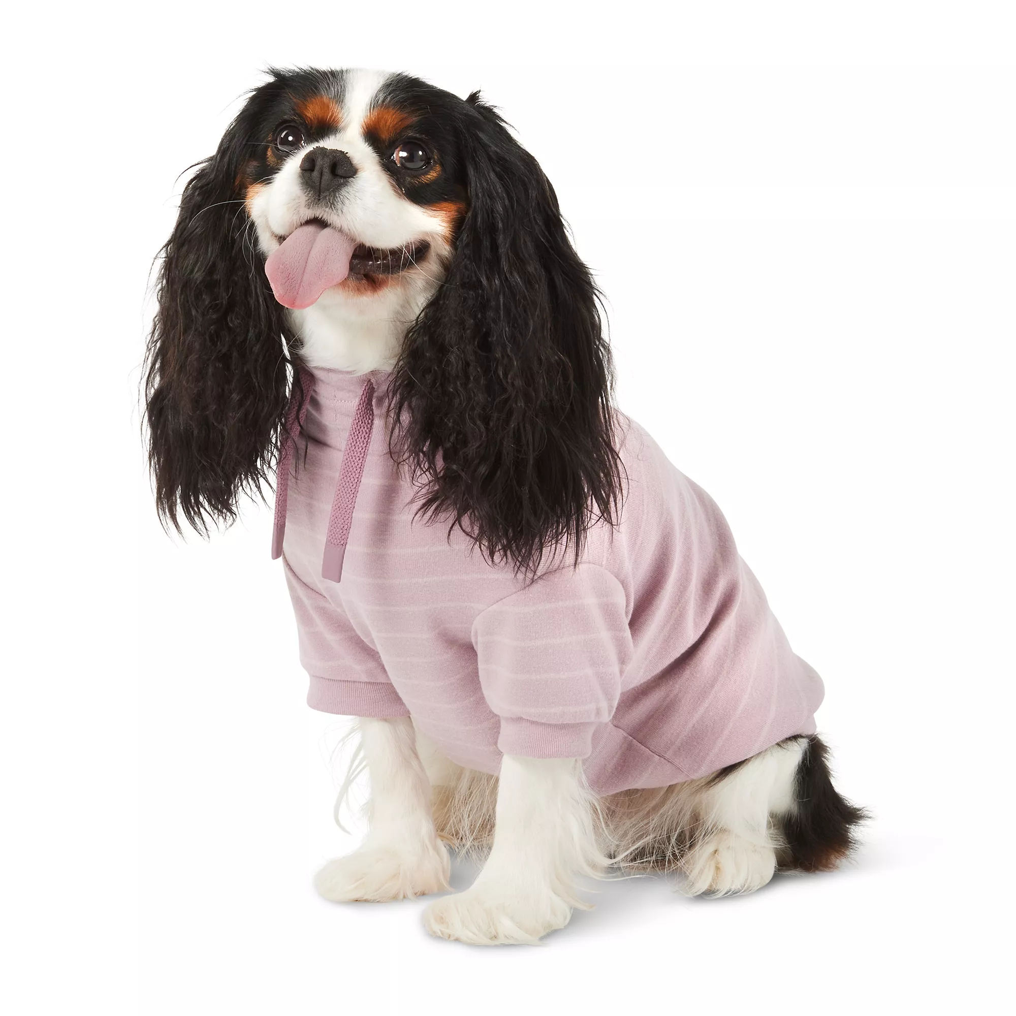 Top Paw® Mock Dog Hoodie