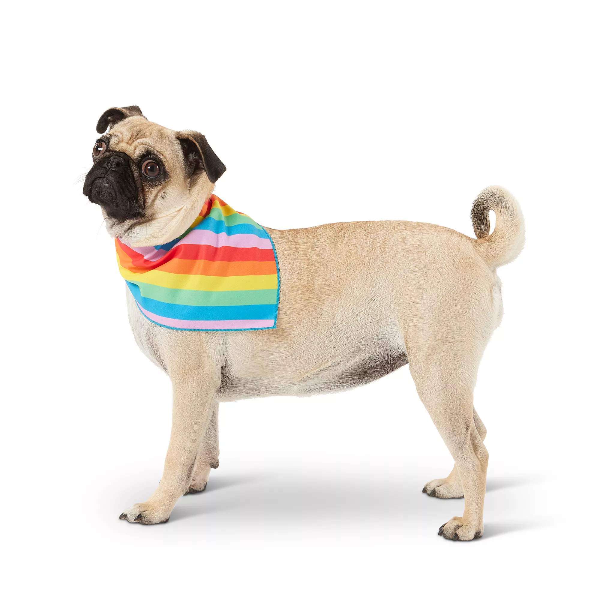 Top Paw® Your Are Loved Pride Dog Bandana