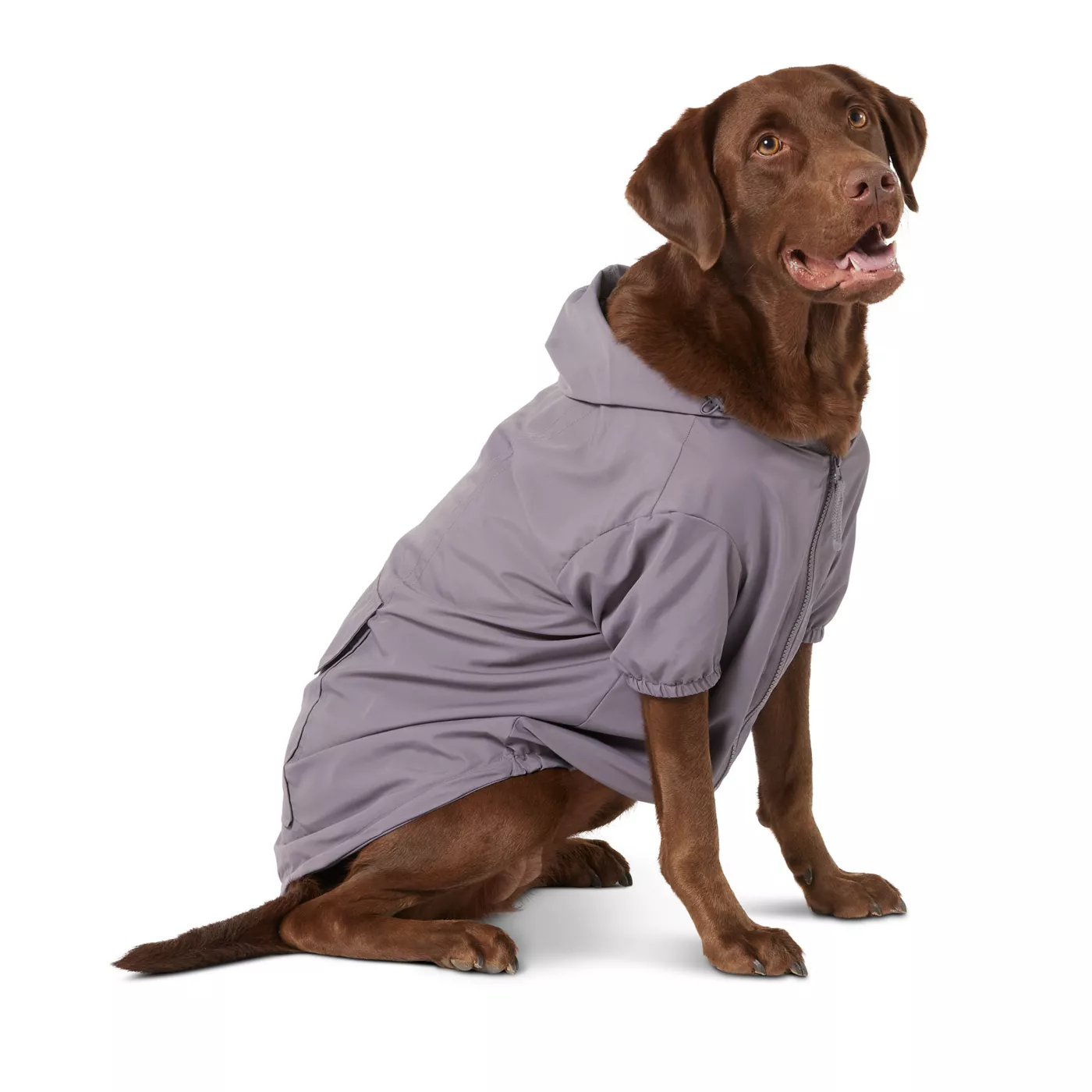 Top Paw Dog Windbreaker