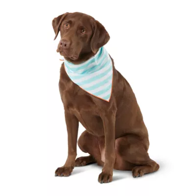 Product Top Paw® Striped Evaporative Cooling Dog Bandana