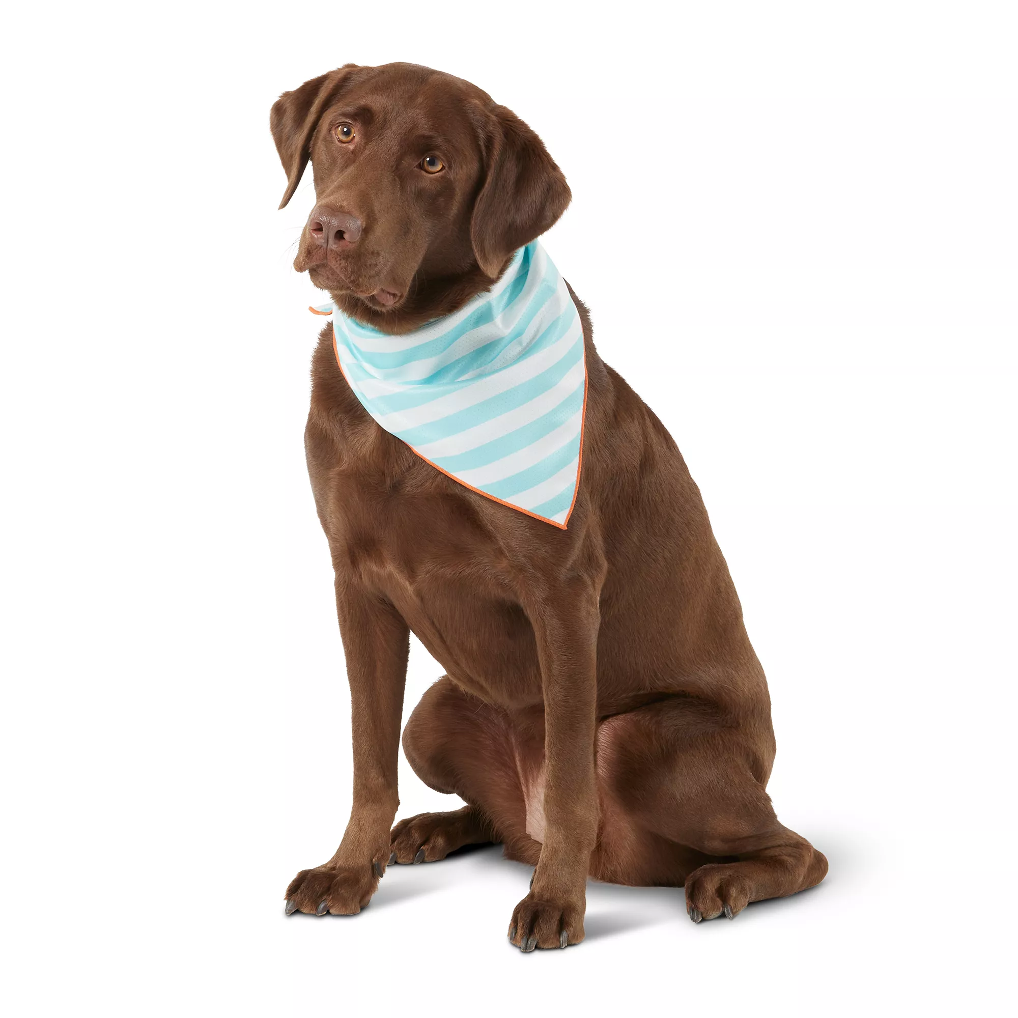 Top Paw® Striped Evaporative Cooling Dog Bandana