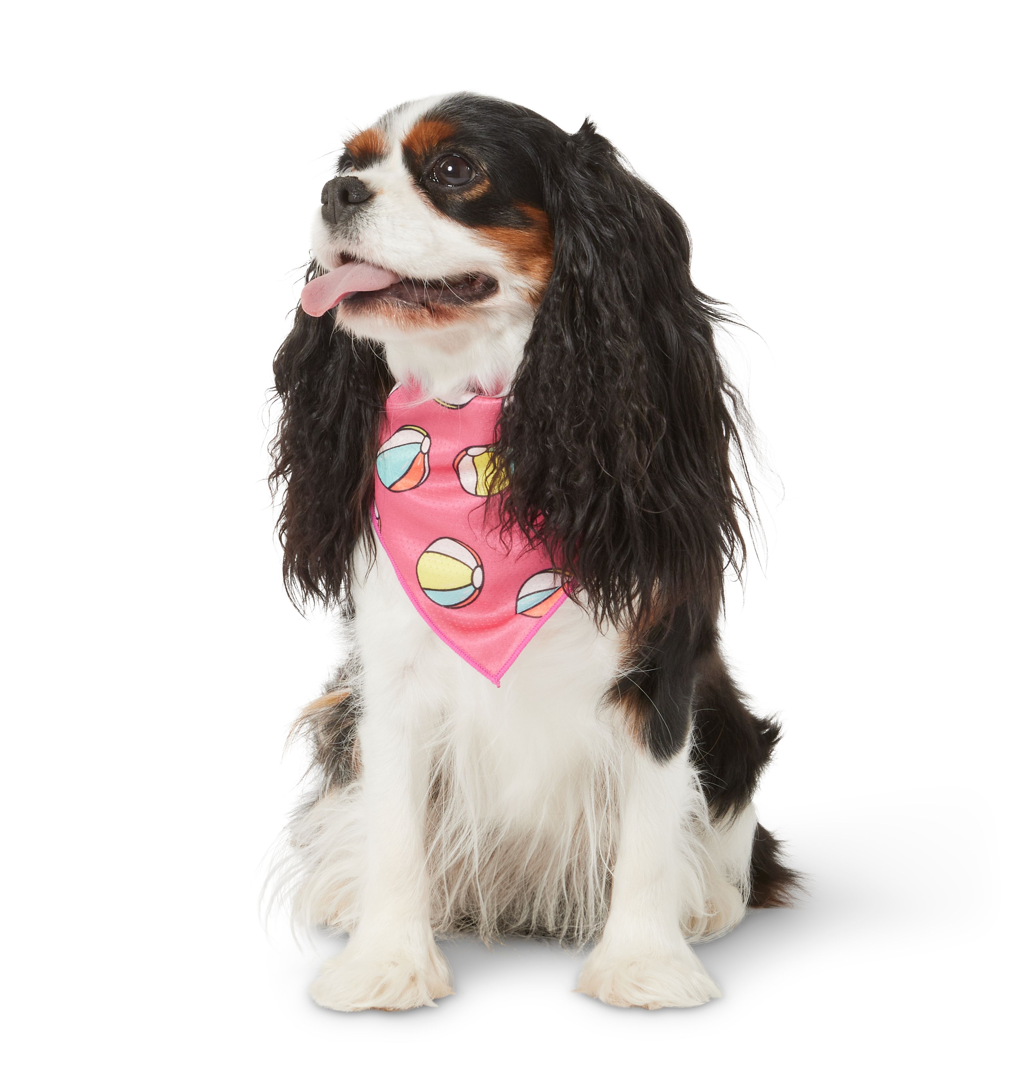 Top Paw Beach Balls Evaporative Cooling Dog Bandana dog Bandanas, Bows & Hats PetSmart