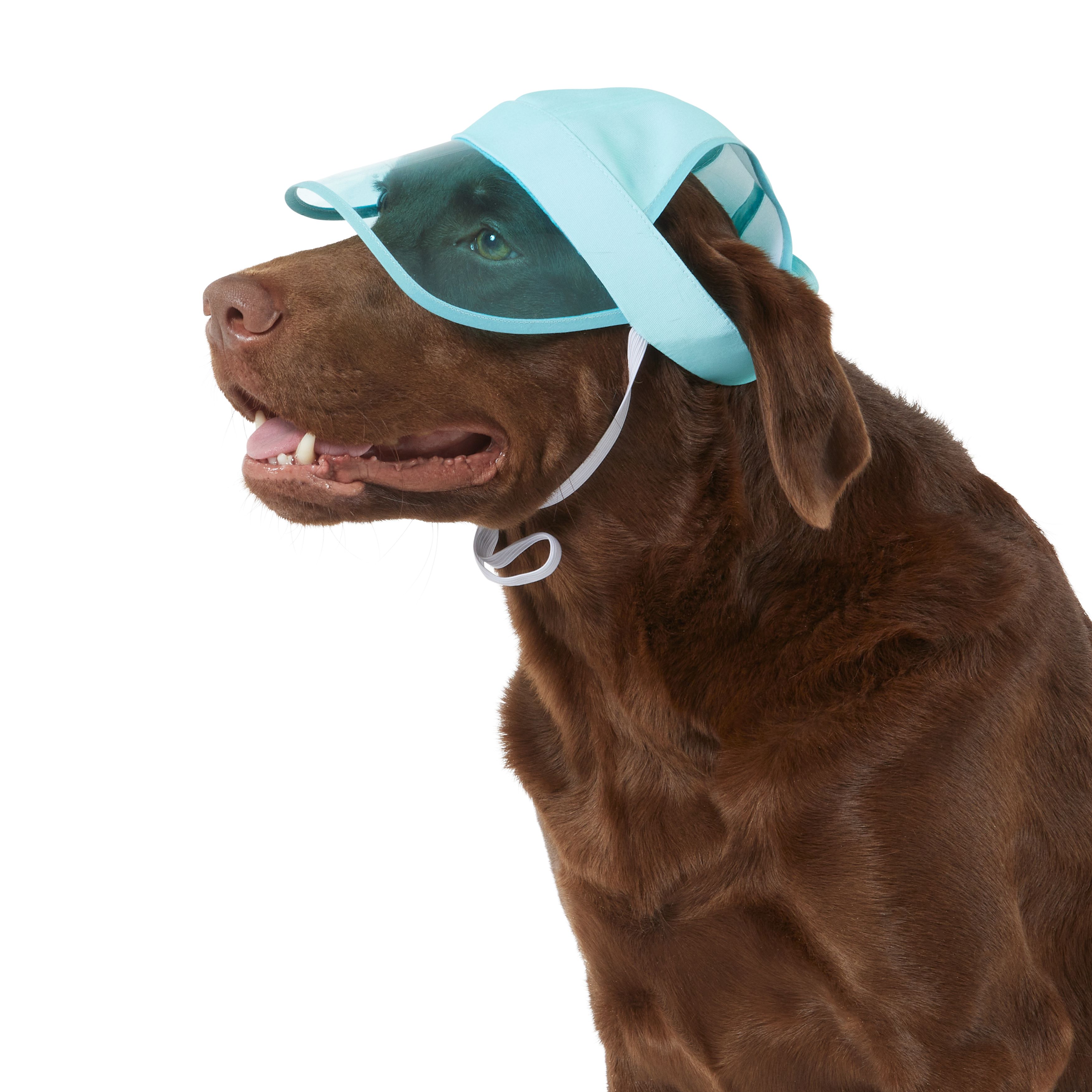 Top Paw Dog Visor dog Bandanas, Bows & Hats PetSmart