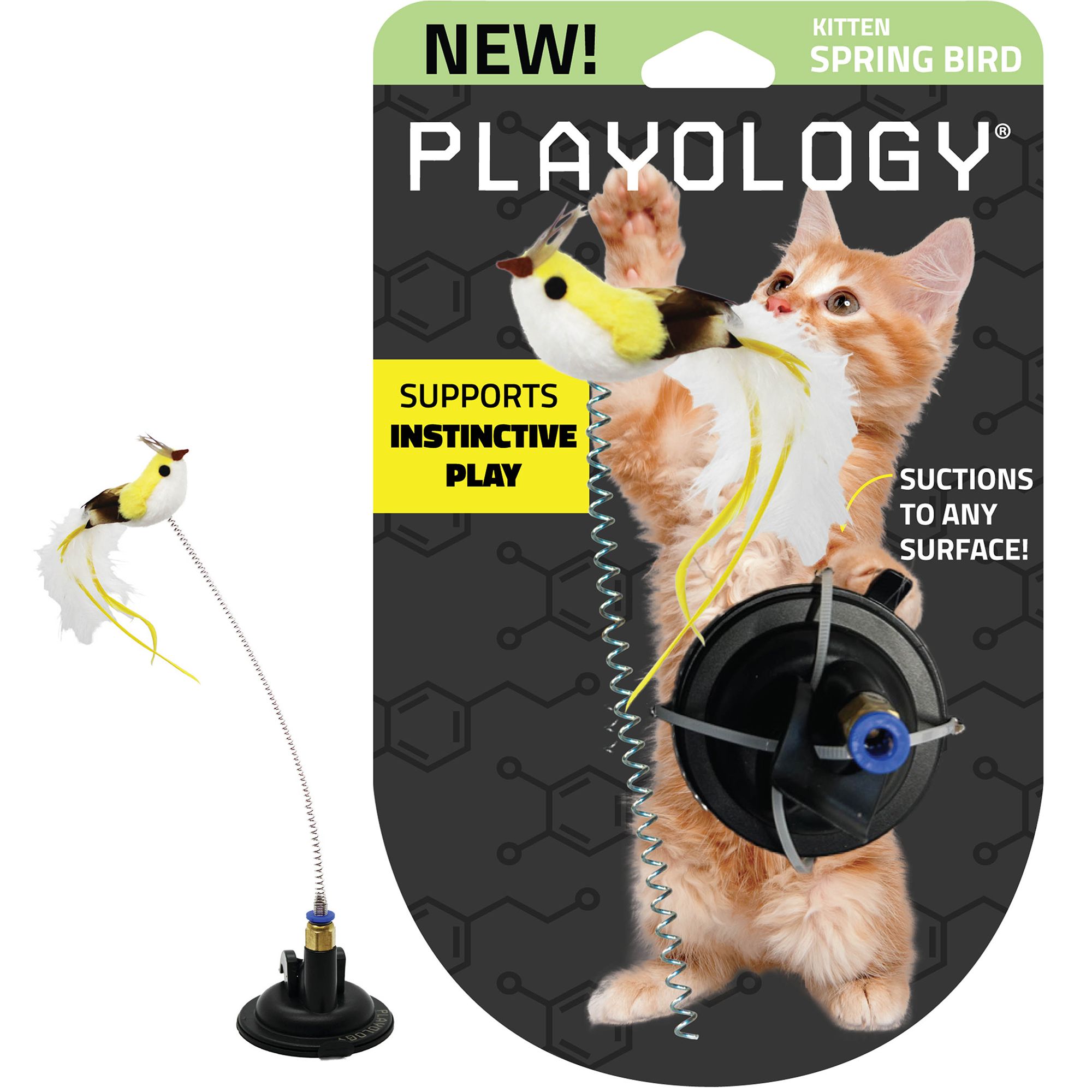 Indestructible cat toys hotsell